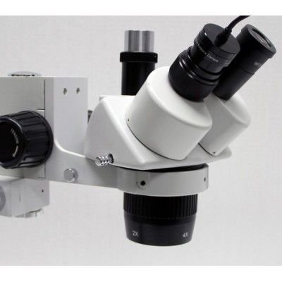 AM4025X - Imagen 2