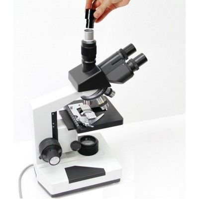 AM4025X - Imagen 3
